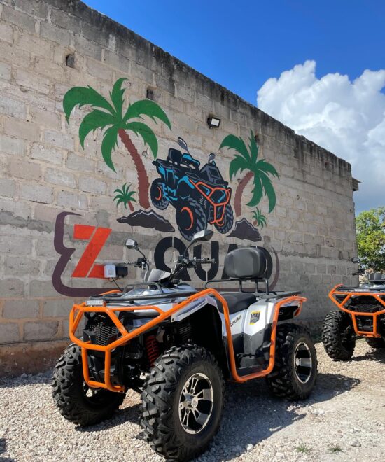 Quad Bike