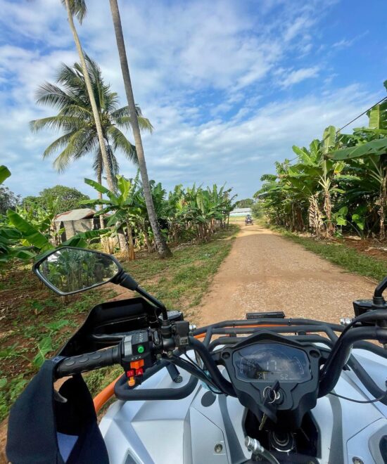 Quad Bike