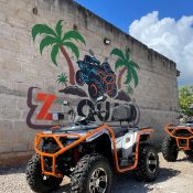 Paseos en quad por Zanzíbar