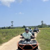 Quad Bike Tours